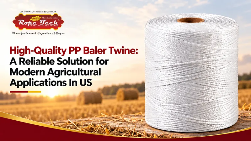 High-Quality PP Baler Twine: A Reliable Solution for Modern Agricultural Applications In US